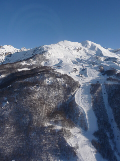 Limone Sole