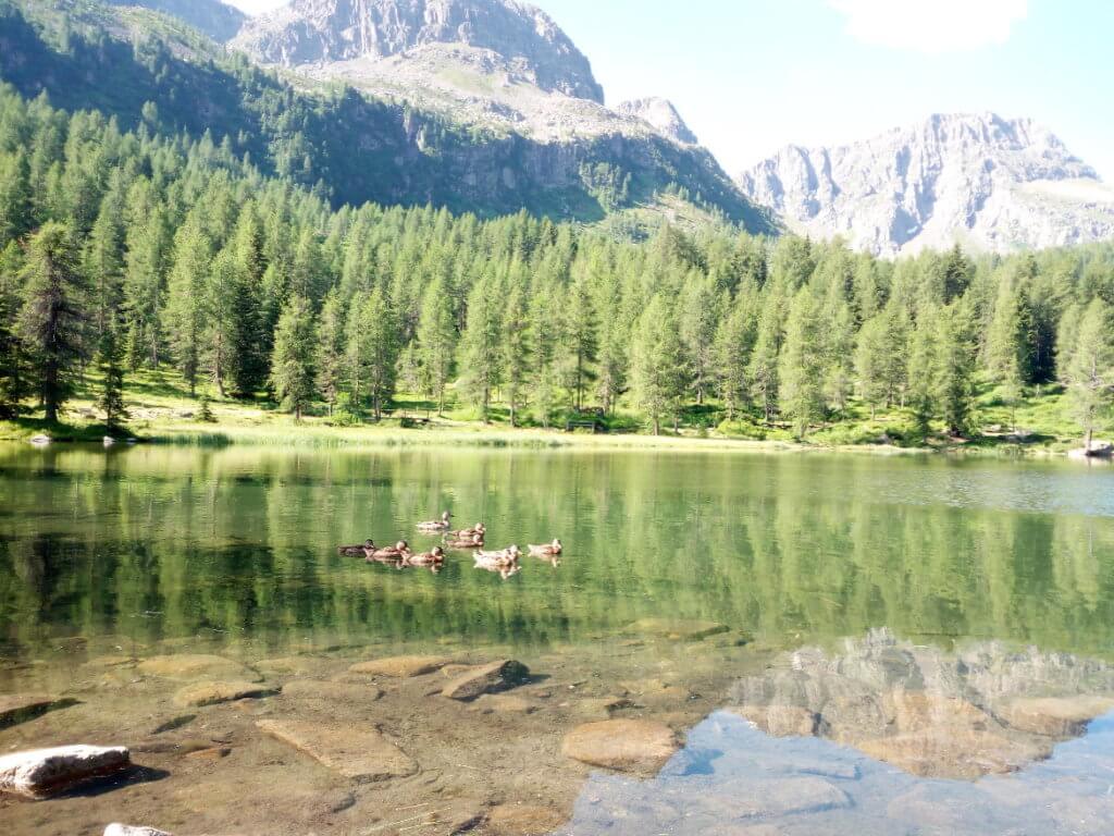 Lago San Pellegrino, Moena