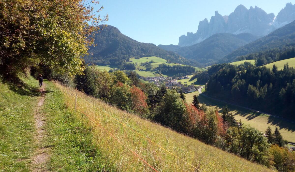 Südtirol Transfer, il modo più green per visitare le Perle delle Alpi